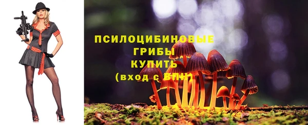 стафф Абаза