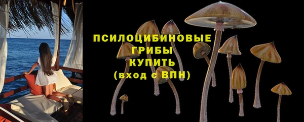 стафф Абаза
