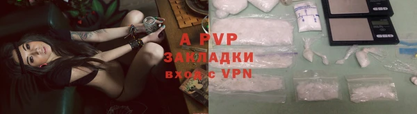 стафф Абаза